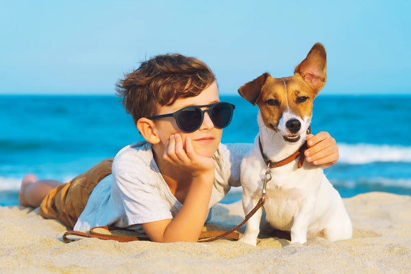 Safety Tips For Kids & Pets